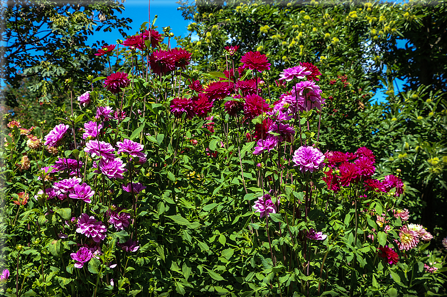 foto Giardini Trauttmansdorff - Paesaggi dell'Alto Adige